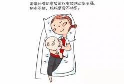 哺乳动漫,探寻治愈系哺乳动漫的魅力